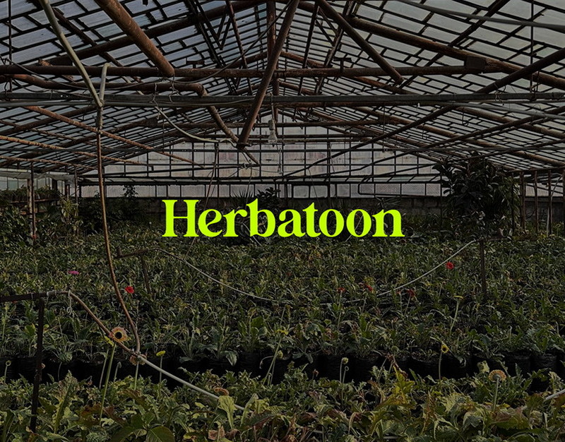 Стали известны подробности о состоянии Марты Монсен