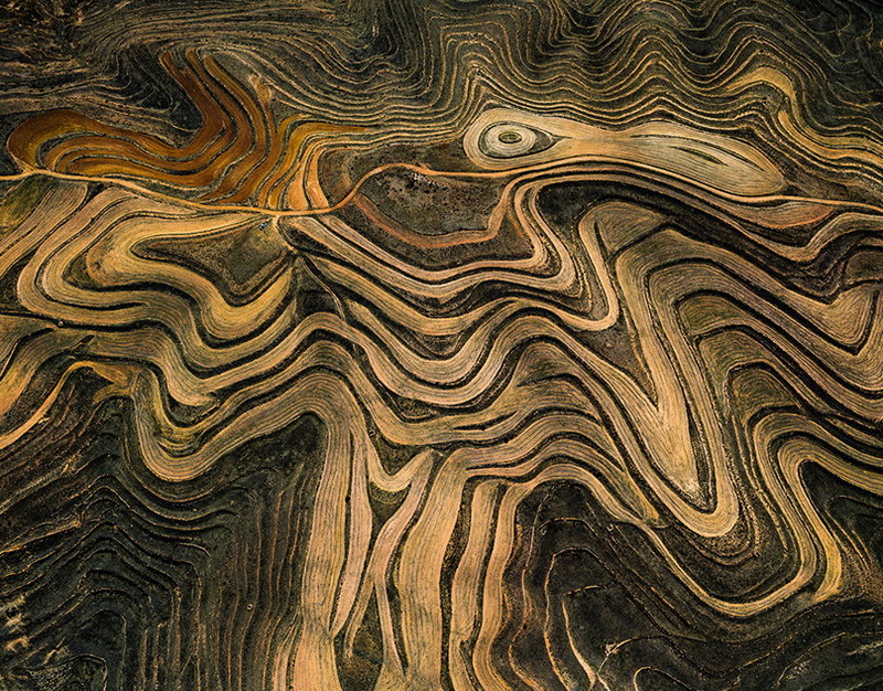 В РПЦ порассуждали о необходимости патрулей против мата